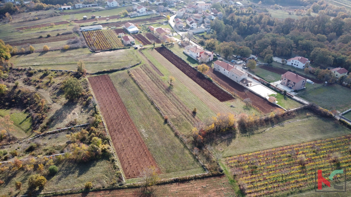Istria - Svetvincenat, terreno 5700m2 in una posizione tranquilla